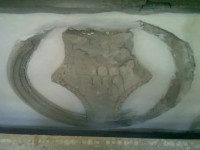 /album/www-paolomarcantonio-it-di-marcantonio-in-edilizia/cortile-palazzo-gatteschi-pistoia-2-jpg/